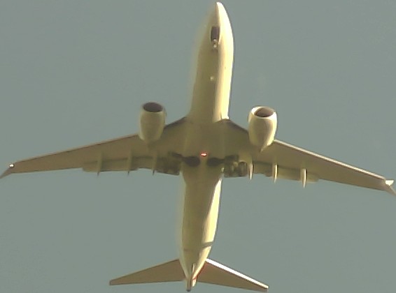 Airplane Picture