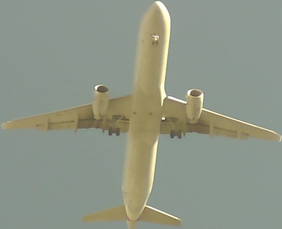 Airplane Picture