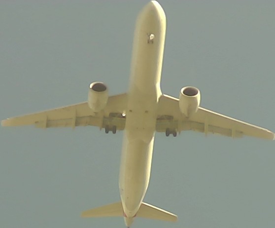 Airplane Picture