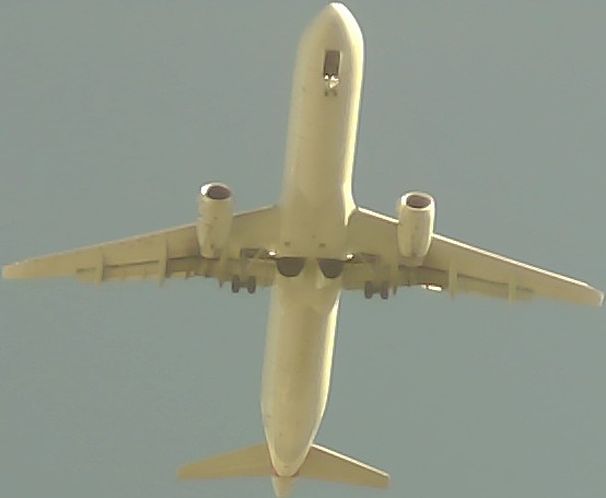 Airplane Picture