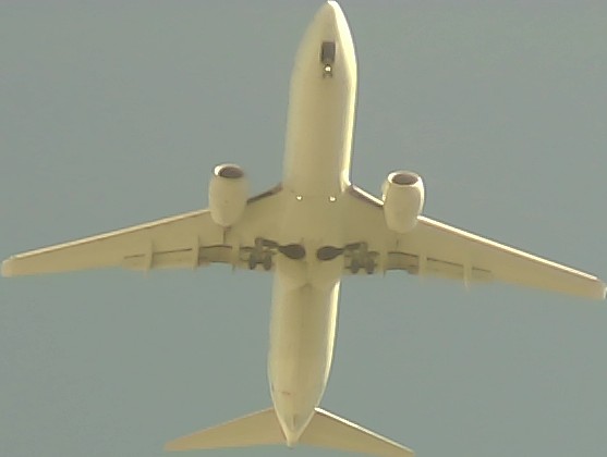 Airplane Picture