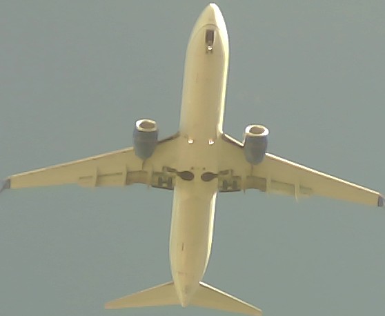 Airplane Picture