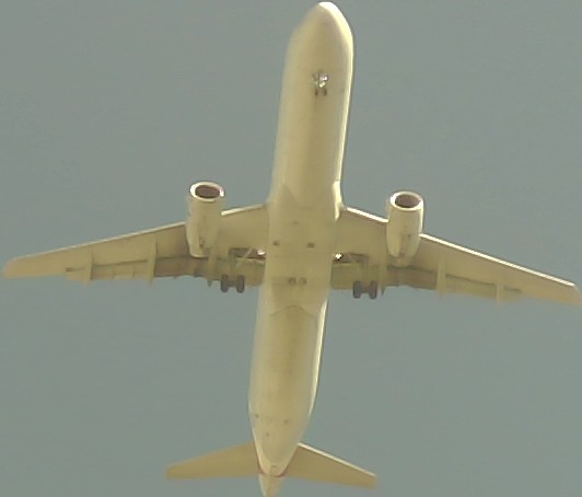 Airplane Picture