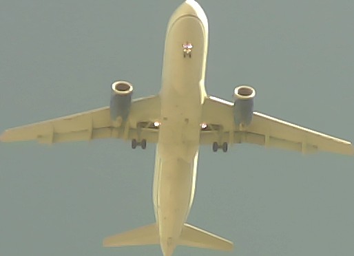 Airplane Picture