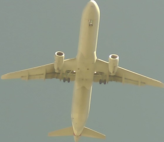 Airplane Picture