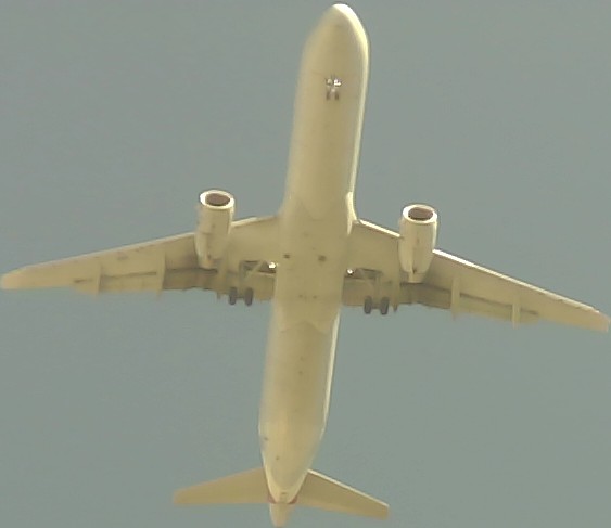 Airplane Picture