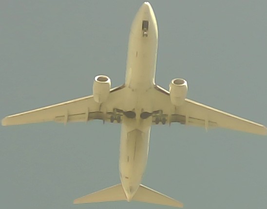 Airplane Picture