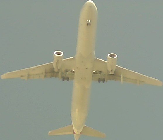 Airplane Picture