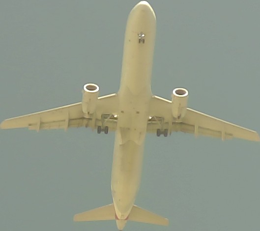 Airplane Picture