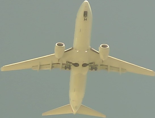 Airplane Picture