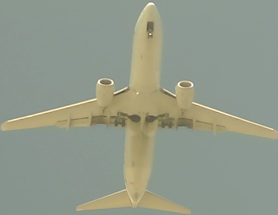 Airplane Picture