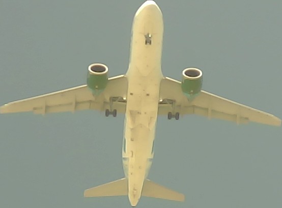 Airplane Picture