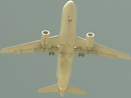 Airplane Picture