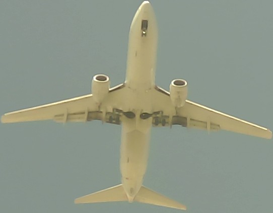 Airplane Picture