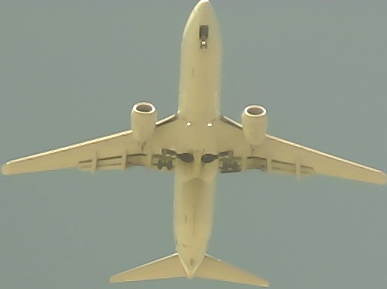 Airplane Picture