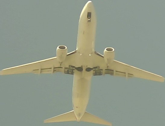 Airplane Picture