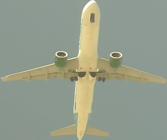 Airplane Picture