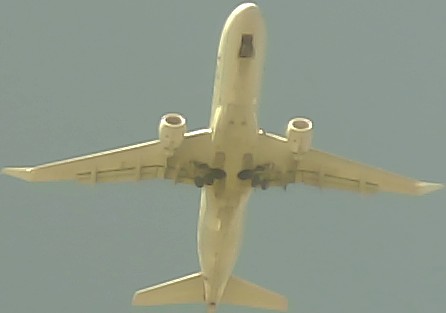 Airplane Picture