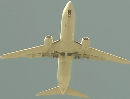 Airplane Picture