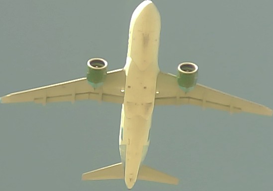 Airplane Picture