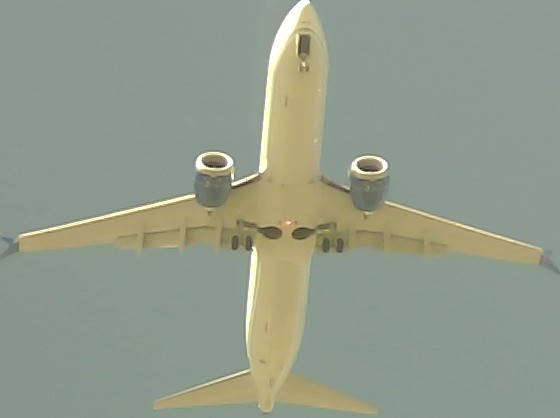 Airplane Picture