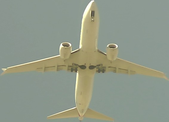 Airplane Picture