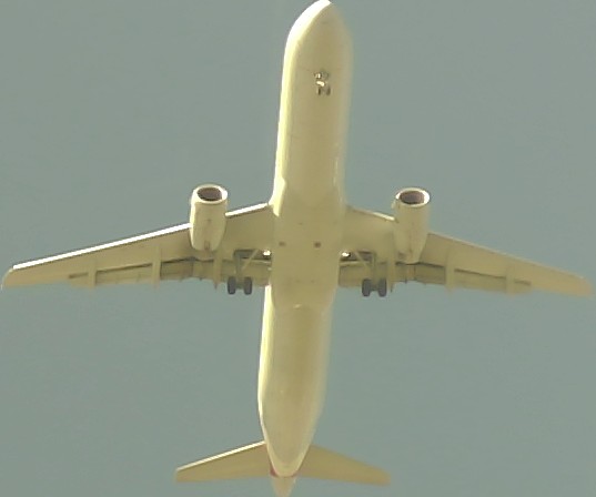 Airplane Picture