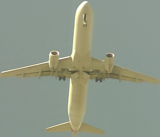 Airplane Picture