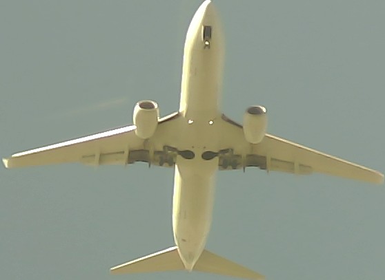 Airplane Picture