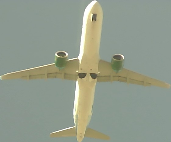 Airplane Picture