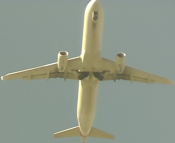 Airplane Picture