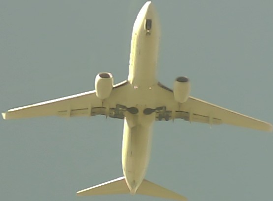 Airplane Picture