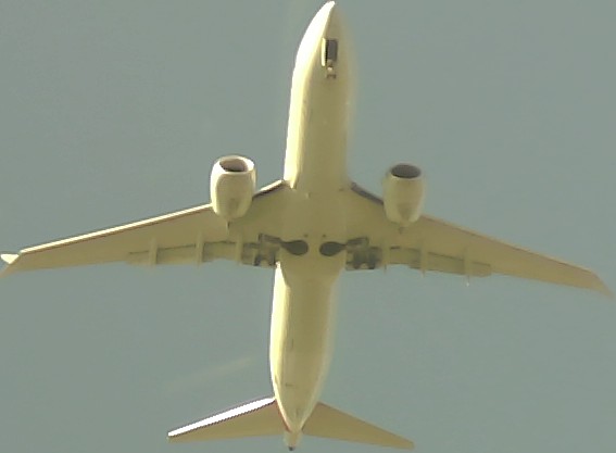 Airplane Picture