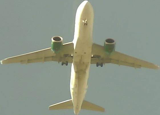 Airplane Picture