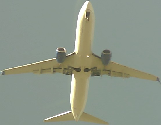 Airplane Picture