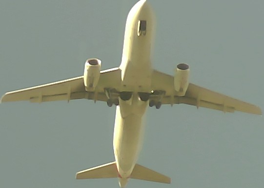 Airplane Picture