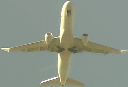 Airplane Picture