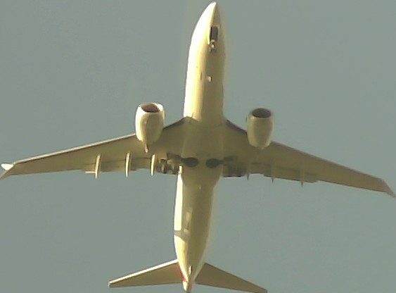 Airplane Picture