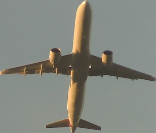 Airplane Picture