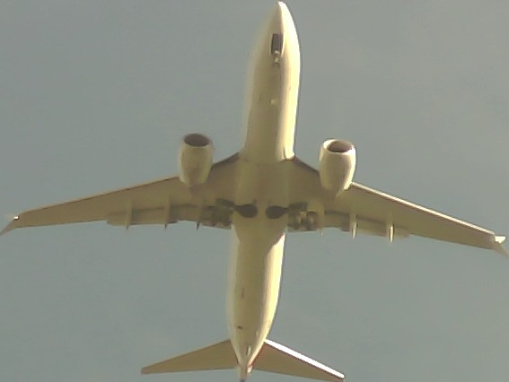 Airplane Picture