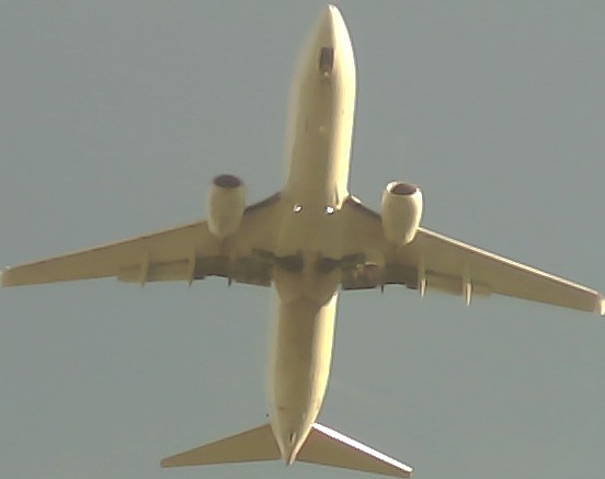 Airplane Picture