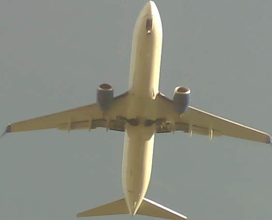 Airplane Picture
