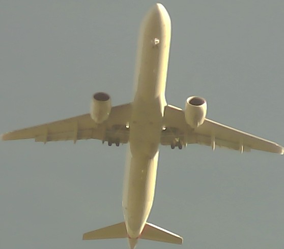 Airplane Picture