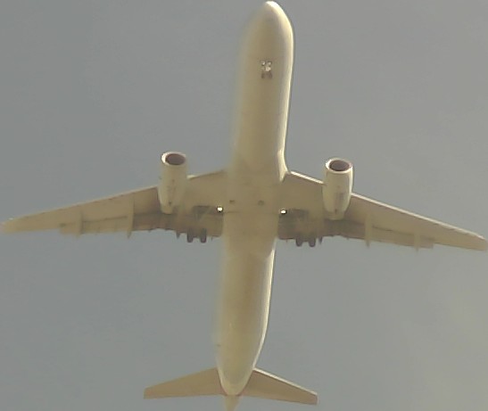 Airplane Picture