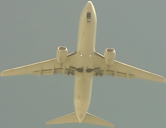 Airplane Picture