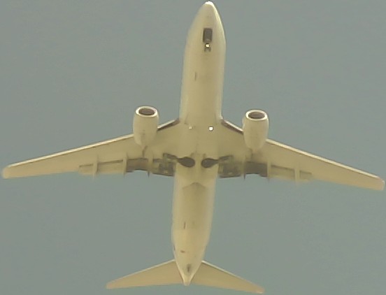 Airplane Picture