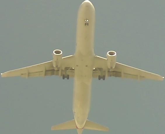 Airplane Picture
