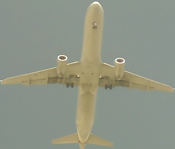 Airplane Picture