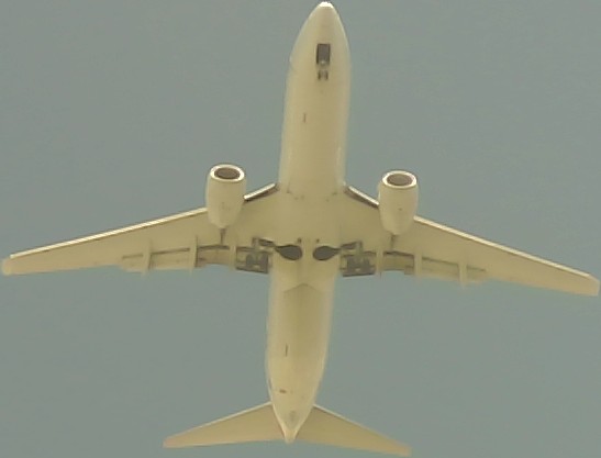 Airplane Picture
