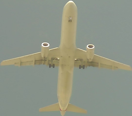 Airplane Picture